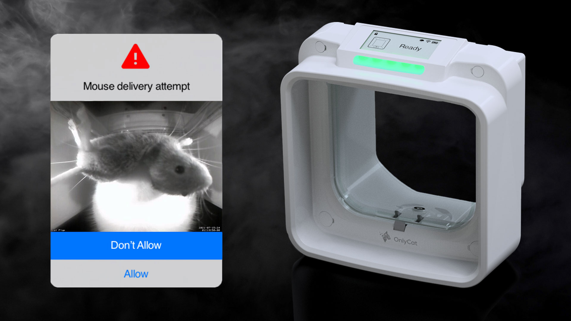 OnlyCat® - Let cats in. Keep mice out.
