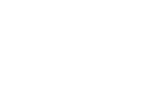 logo-msn